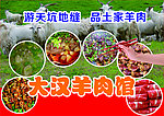 羊肉汤锅