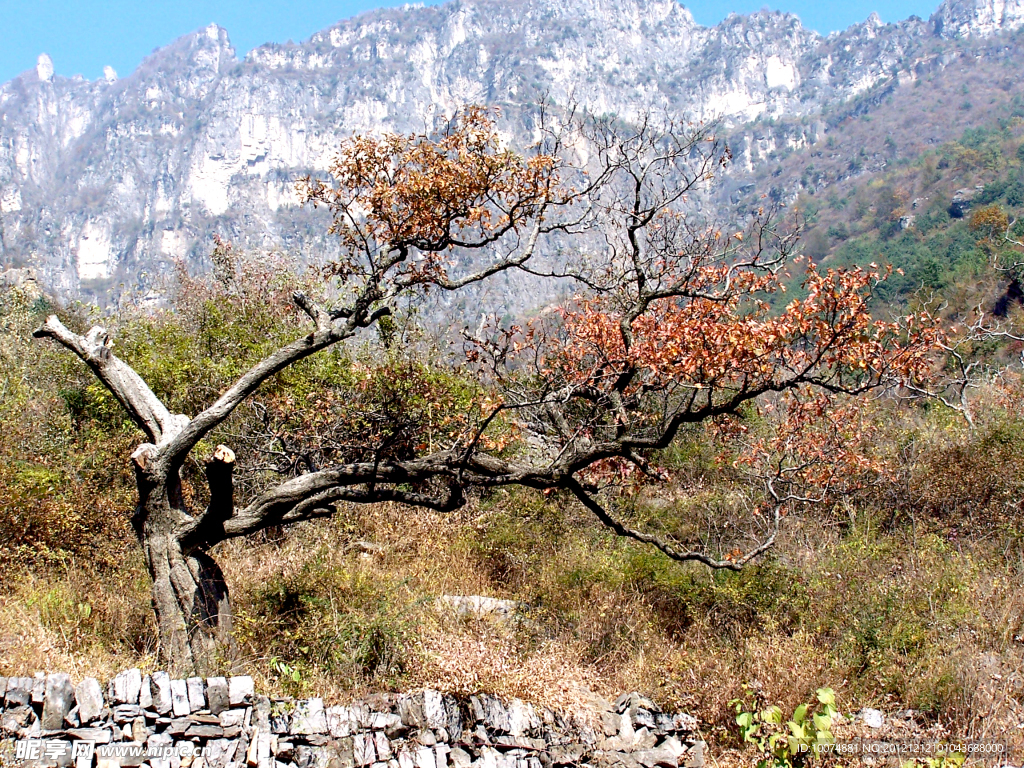 万仙山风景