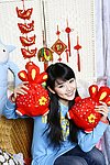 刘双宁