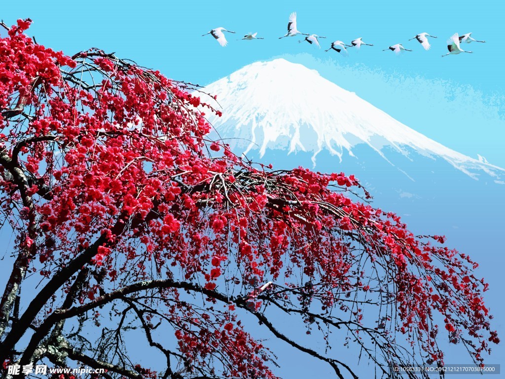 富士山的景色