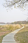 河边石板路