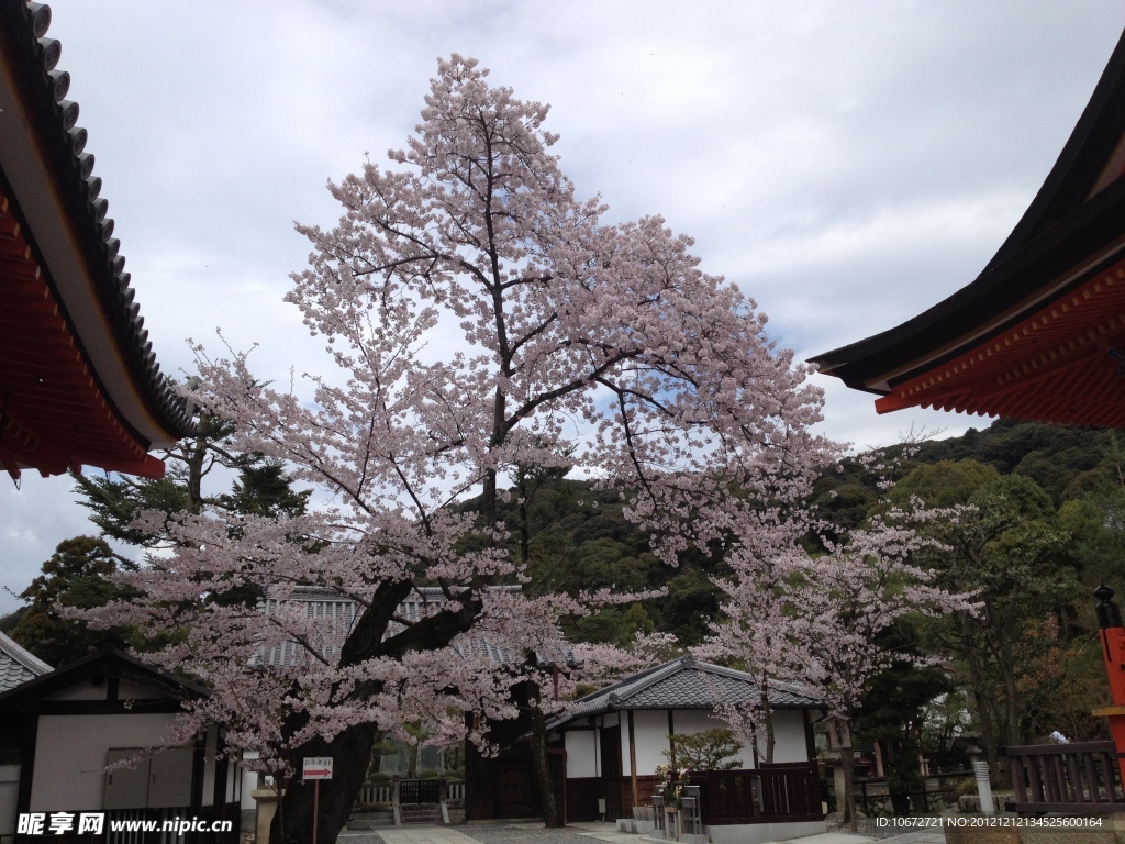 三井寺