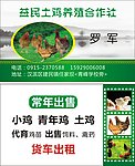鸡名片