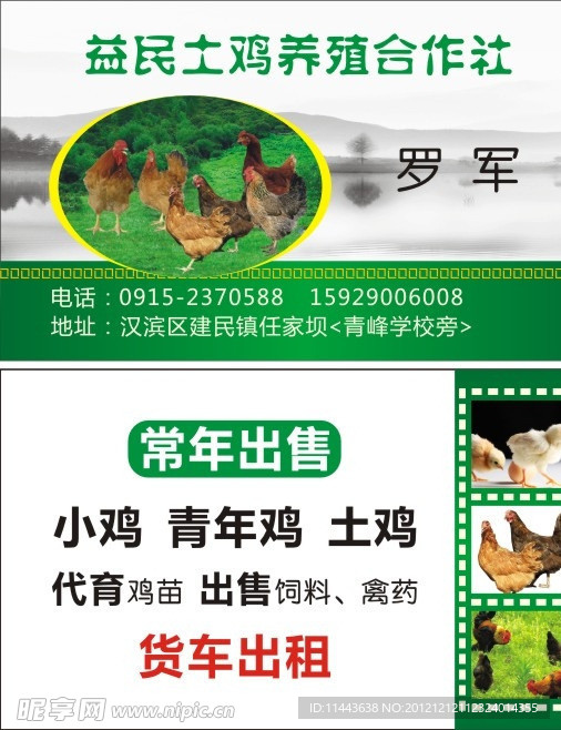 鸡名片