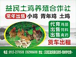 养殖