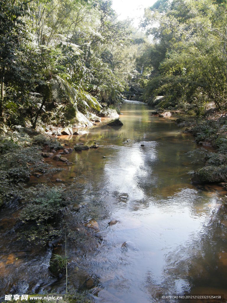 贵州赤水瀑布水流