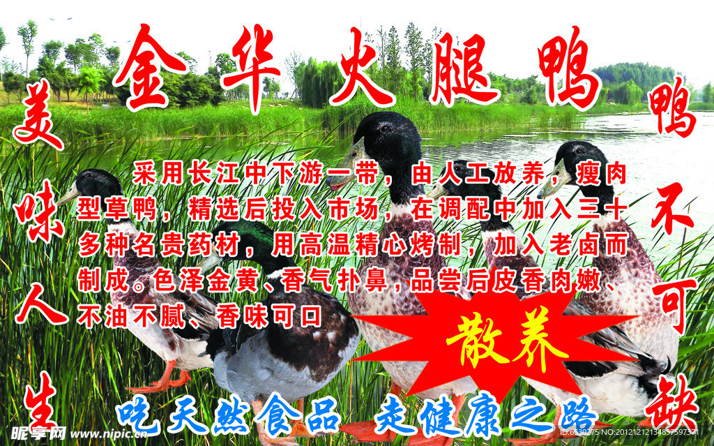 火腿鸭