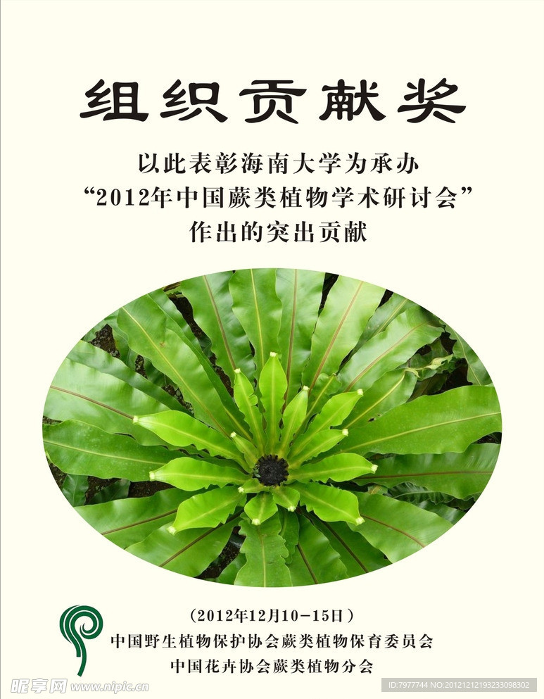 组织奉献奖