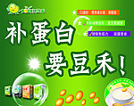 补蛋白 要豆禾