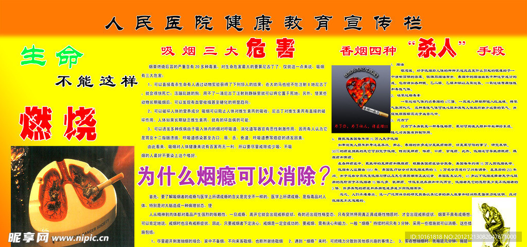健康教育展板