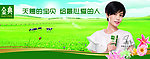 伊利 金典