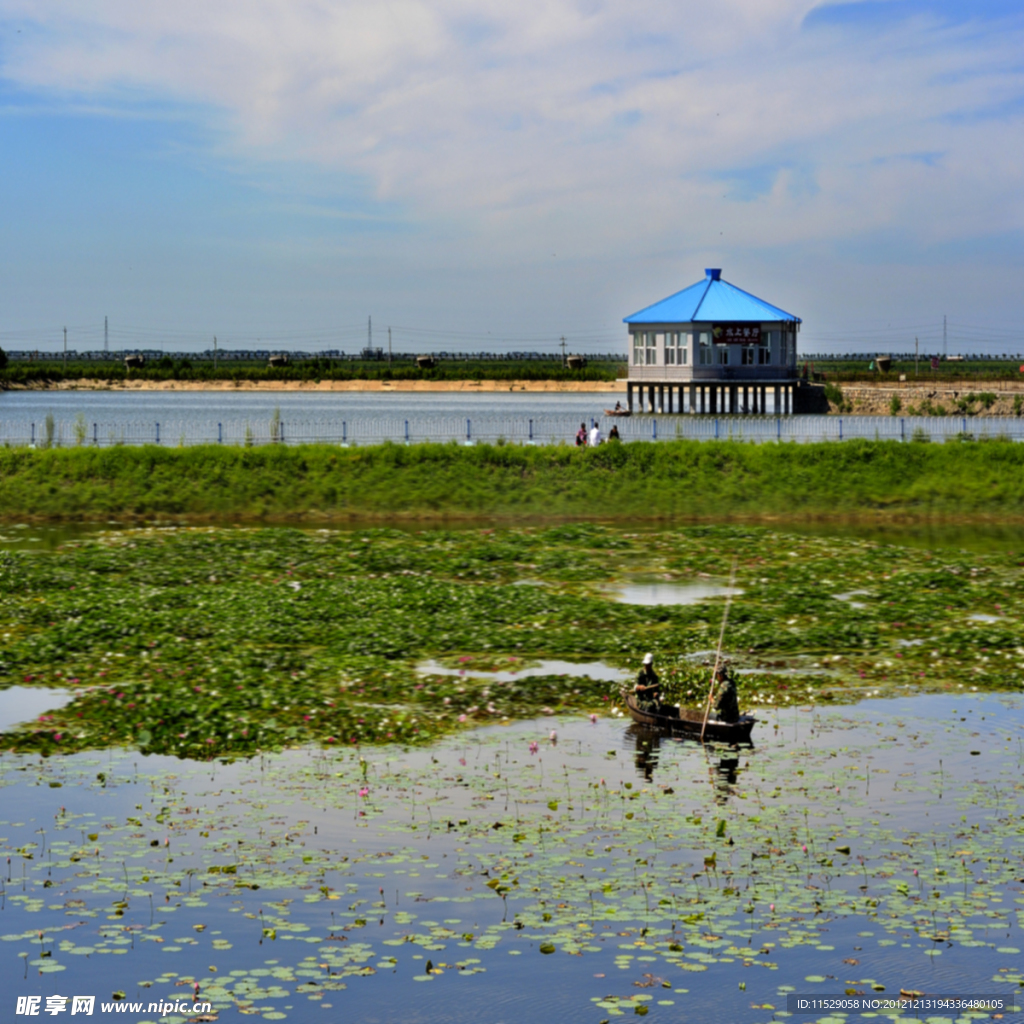 湿地