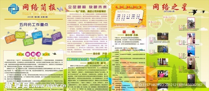 网络简报