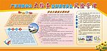 全面强化安全风险管理