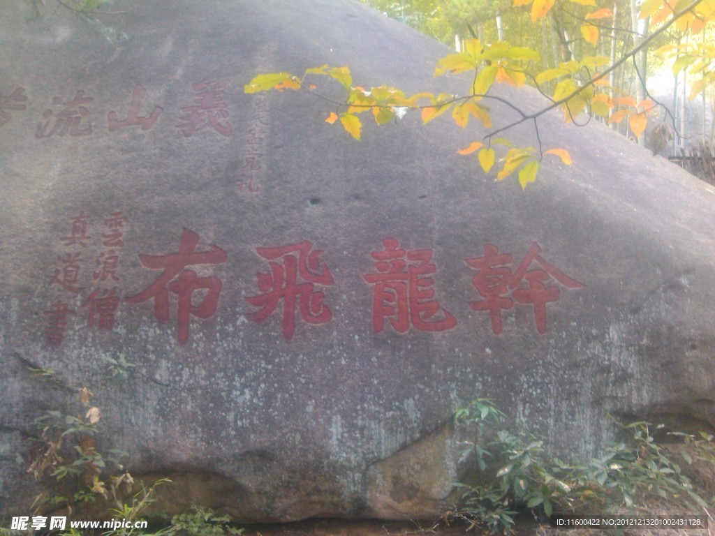 布飞龙翰