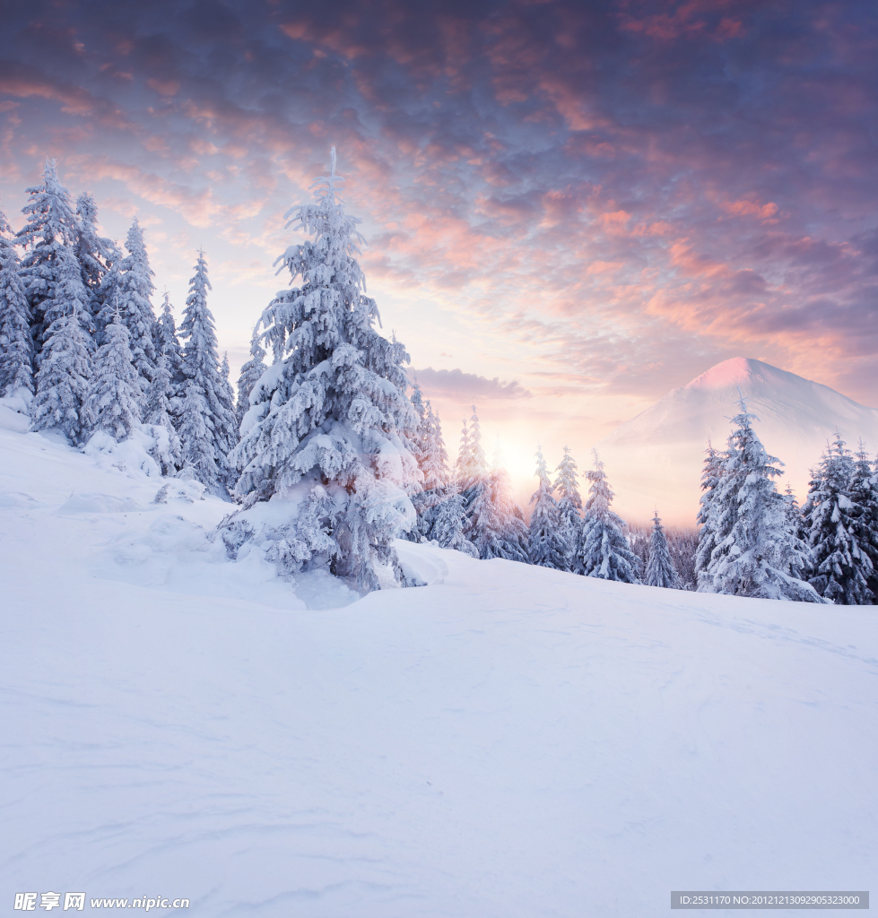 冬季雪景