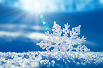 雪花