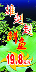 鲜鱼