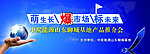 中炭能源推介会背景