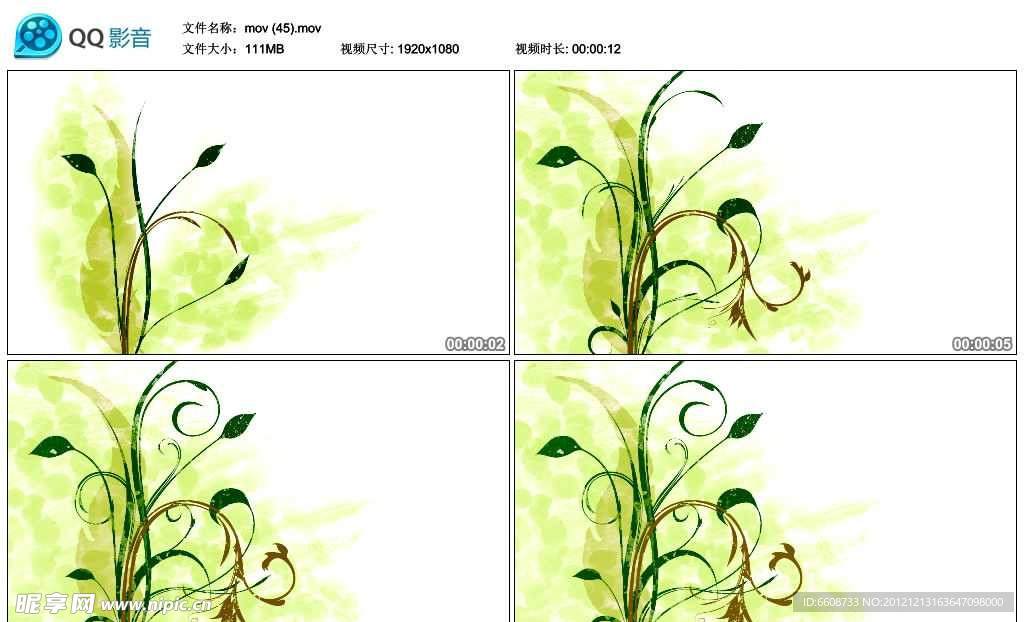 鲜花花藤生长视频实拍素材