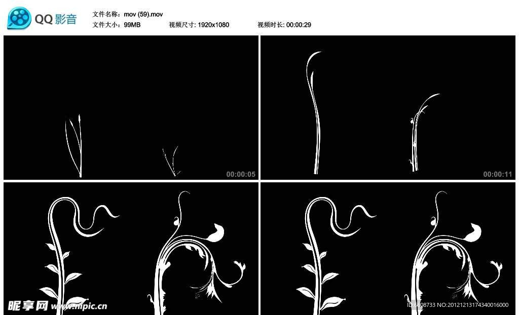 鲜花花藤生长视频实拍素材