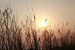 夕阳