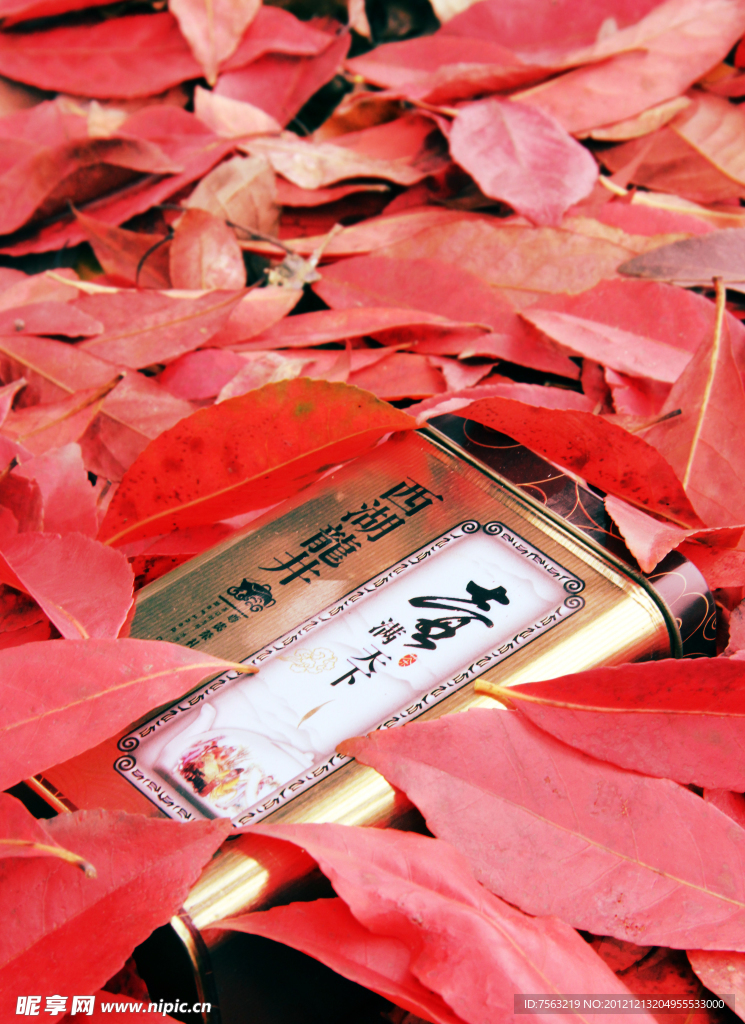 红叶与茶