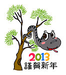 2013年蛇