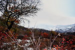 泗沟的薄雪