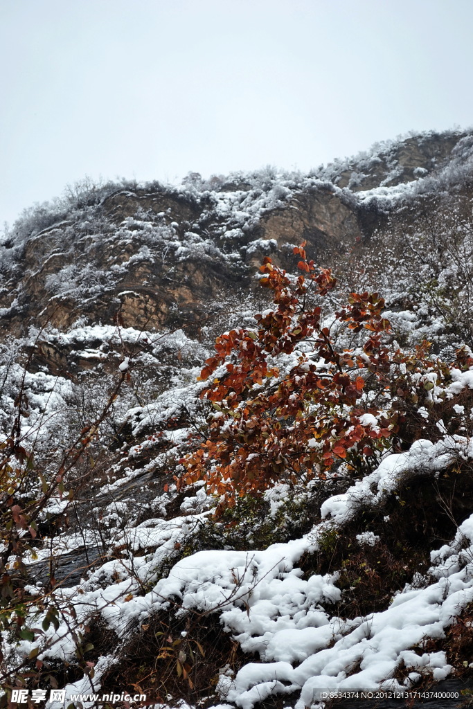 泗沟的薄雪