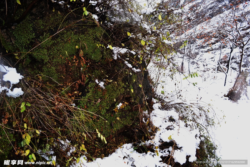 泗沟的薄雪