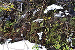 泗沟的薄雪