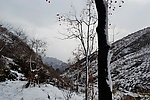 泗沟的薄雪