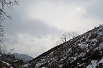 泗沟的薄雪