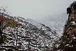 泗沟的薄雪