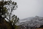 泗沟的薄雪