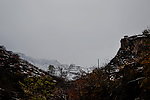 泗沟的薄雪