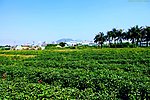 山水风景 田园风光
