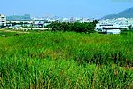 山水风景 绿色生态
