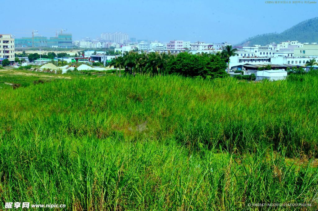 山水风景 绿色生态