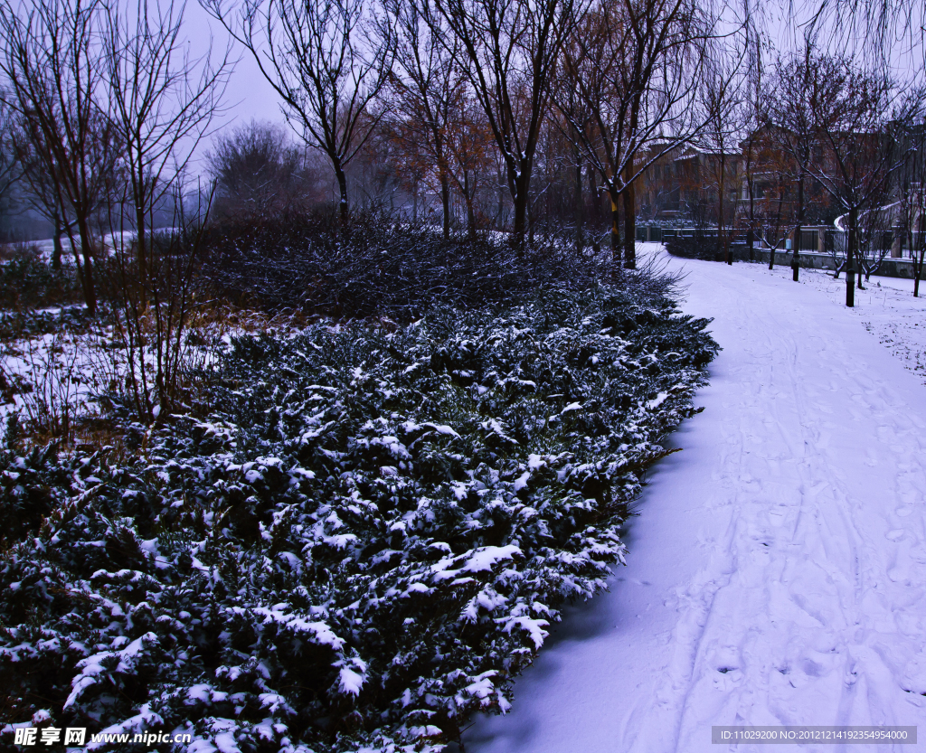 雪景