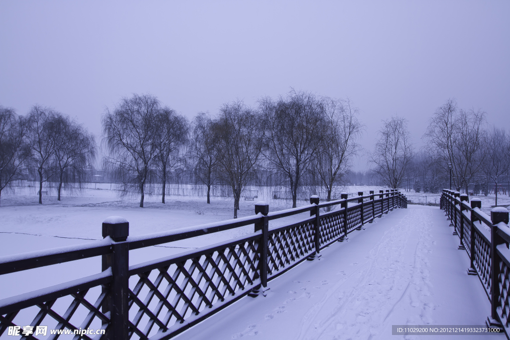 雪景