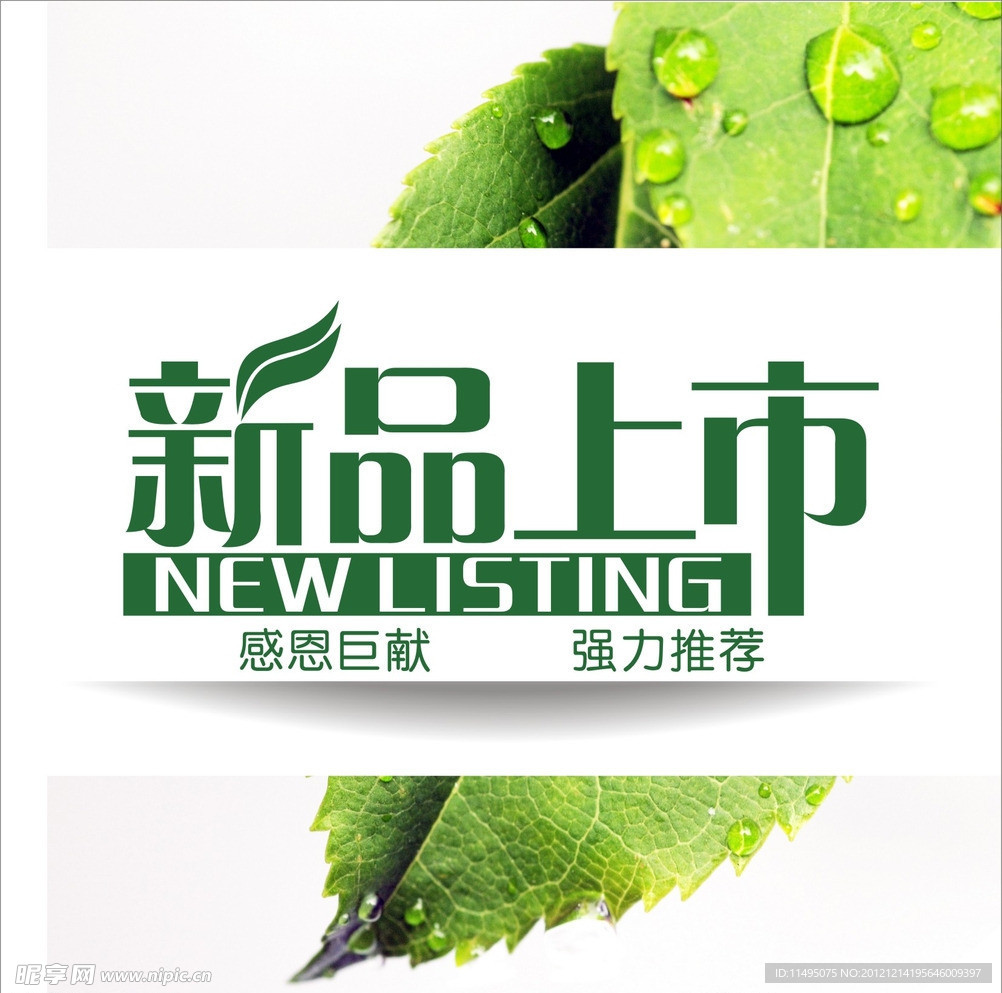 新品上市