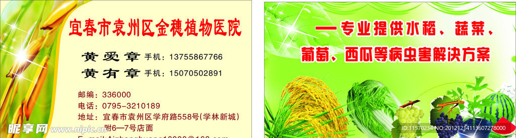 金穗名片