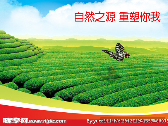 蓝天绿茶蝴蝶背景
