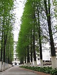 大学游玩