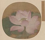 出水芙蓉