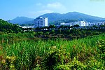 山水风景 高山池塘