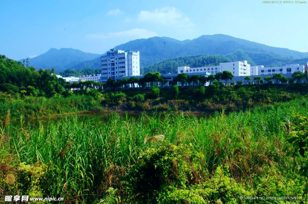 山水风景 高山池塘