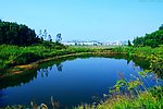 高山水池 绿色生态